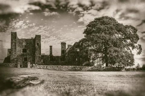 Ruins of old abbey with large tree and foreground logs Stock Photos