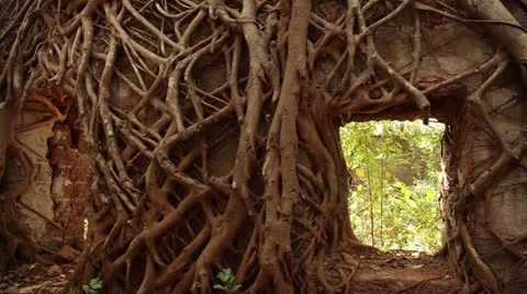 Ruins of old castle in India Stock Footage 26381384