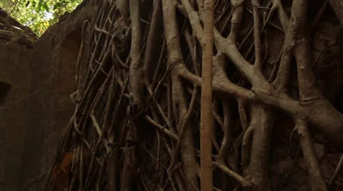 Ruins of old castle in India Stock Footage 26381684