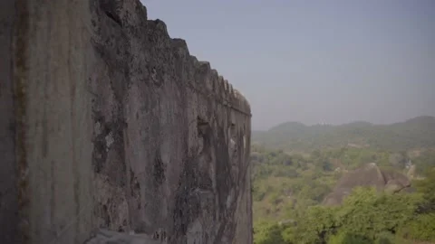 Ruins old wall and forest in india Video stock 204127951