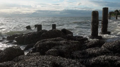 Ruins of the pier pillars. Stock Footage 92934437