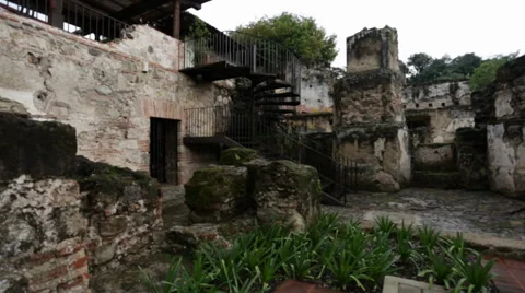 Ruins surrounded by plants and trees Stock Footage 39909717