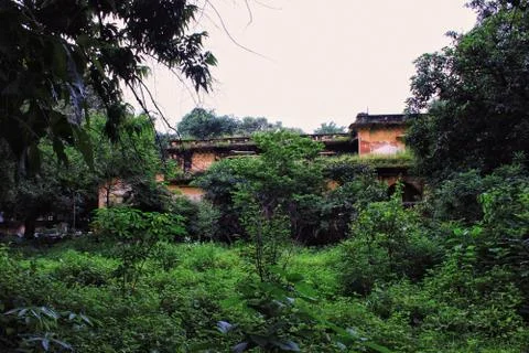 Ruins surrounded by trees. Stock Photos