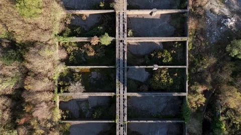 Ruins View From Above With Dense Trees Stock Footage 301386008