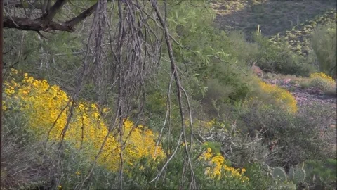 Ruins with a View Stock Footage 74111609