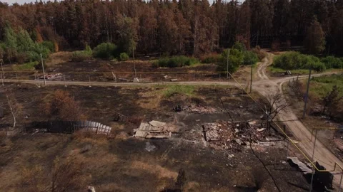 Ruins Of A Village After A Forest Fire And Yellowing Trees Stock Footage 165191069