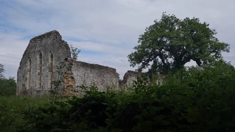 Ruins in the wilderness Stock Footage 125738498