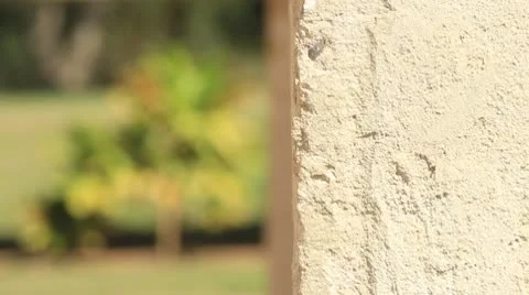 Ruins003 動画素材 10744296