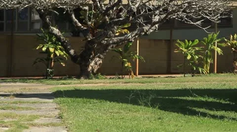 Ruins004 動画素材 10744406