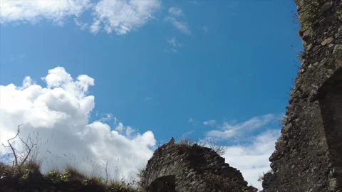 Ruins&amp;gull Video stock 261189971