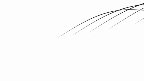 Rule note animation Stock Footage 121983852