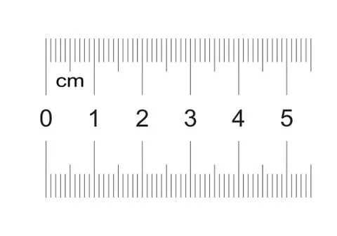 Ruler of 50 millimeters. Ruler of 5 centimeters. Grid. Value division 1 mm. Stock Illustration