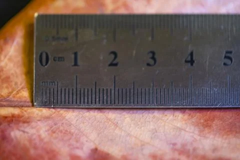 A ruler is shown with the numbers 0 through 5 on it 스톡 사진
