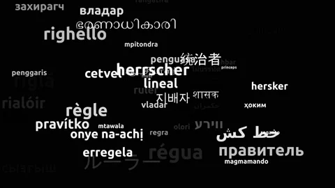 Ruler Translated in 58 Worldwide Languages Endless Looping 3d Zooming Wordclo Video stock 145201904