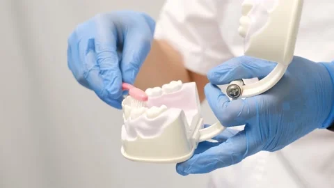 Rules of brushing teeth on the model Stock Footage 205397071