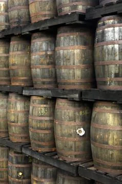 Rum barrels Stock Photos