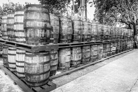 Rum barrels Foto stock
