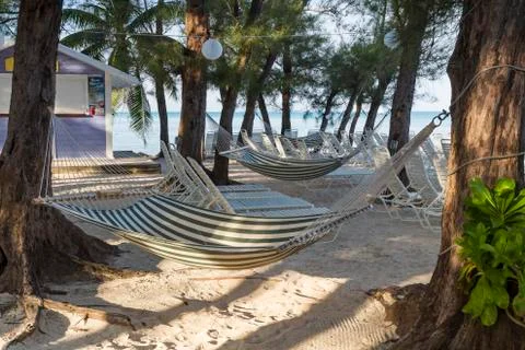 Rum Point Hammocks Stock Photos