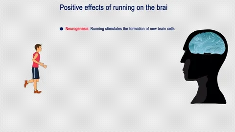 Run and Brain Stock Footage 324102901