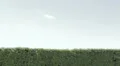 run and hug between two friends or lover ( flat version) HD Footage