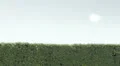 run and hug between two friends or lover (flat version) HD Footage
