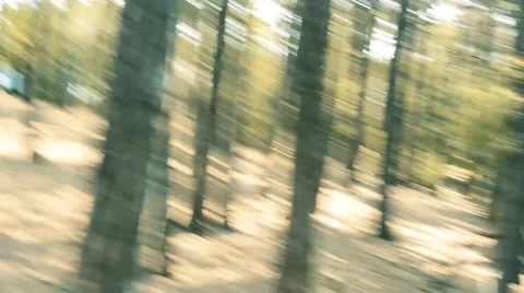 Run between the trees through the forest - shaking 스톡 동영상 58452280