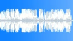 Run of the blue birdStock Music