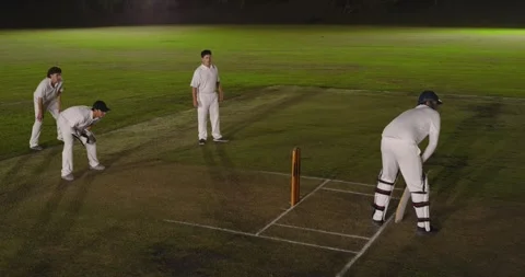 Run-up causing male cricketers bowling, playing cut, keeper catching, Stock Footage 344946236