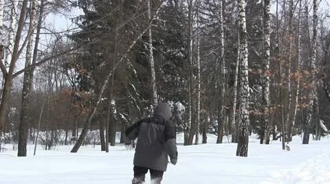 Run on deep snow.PAL Stockbeeldmateriaal 22232738