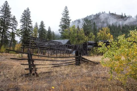 Run down barn and bush. Stock Photos