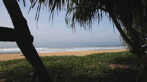 Run Видео 1094508