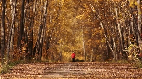 RUN Stock Footage 30587675