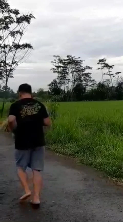 Run Video stock 210732868