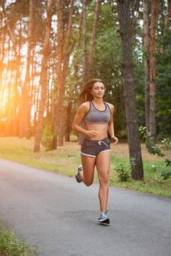 Run in the forest 스톡 사진