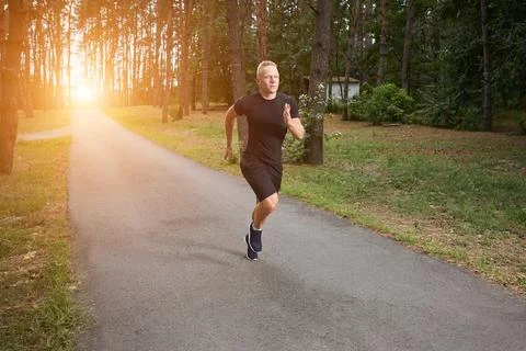 Run in the forest Stock-Fotos