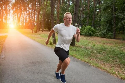 Run in the forest Stock Photos