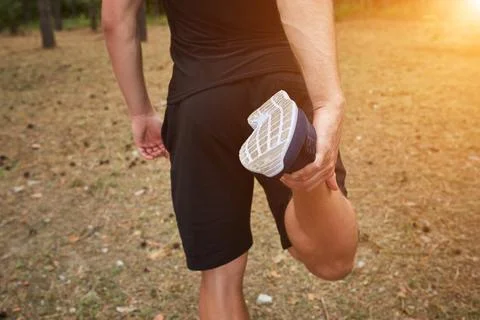 Run in the forest Stock Photos