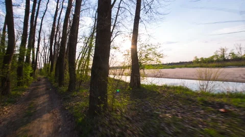 Run forest with Sun Stock Footage 49099442