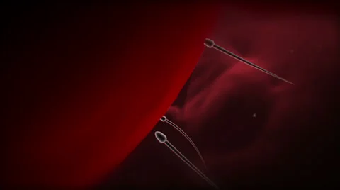 Run for life audio Stock Footage 64141697