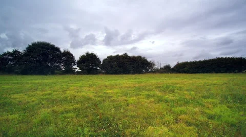 Run in a meadow - wild grass - take off over countryside. Full HD longer clip. Stock Footage 68447723