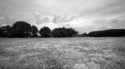 Run in a meadow with wild grass then take off. Full HD black and white. Stock Footage 68447899
