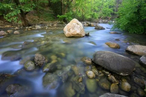Run of mountain stream in forest Stock Photos