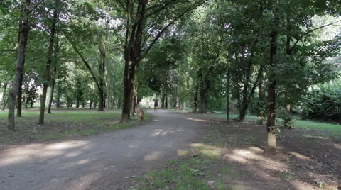 Run in the park with the dog Stock Footage 46442650