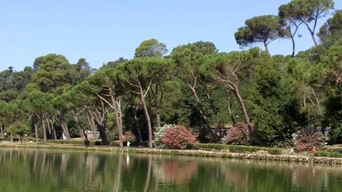 A run in the park Video stock 71812867