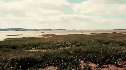 On The Run short edit Stock Footage 157851930
