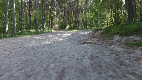 Run through a forest Stock Footage 71060708