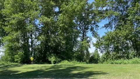 Run Through The Forest Stock Footage 172041374