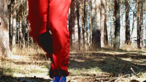 Run in the wood Stock Footage 95035943