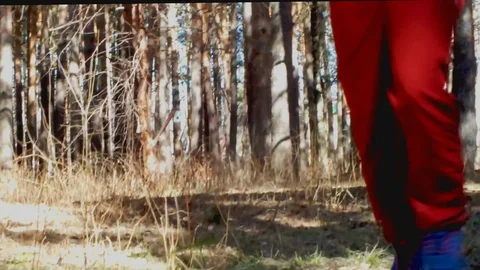Run in the wood Stock Footage 95035953
