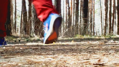 Run in the wood Stock Footage 95035970